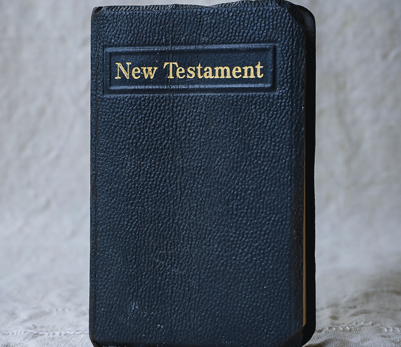 New Testament Walkthru